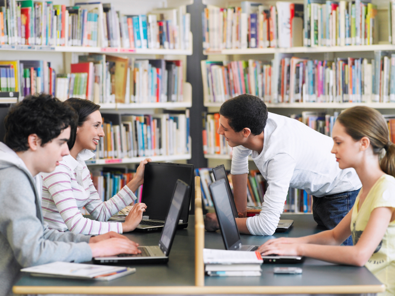 What Makes a Strong Opinion Essay Persuasive and Clear